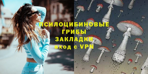 молекула духа Алзамай