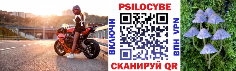 Псилоцибиновые грибы мухоморы  MEGA маркетплейс  Катав-Ивановск 