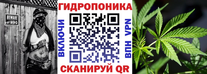 сколько стоит  mega как войти  Шишки марихуана White Widow  Катав-Ивановск 
